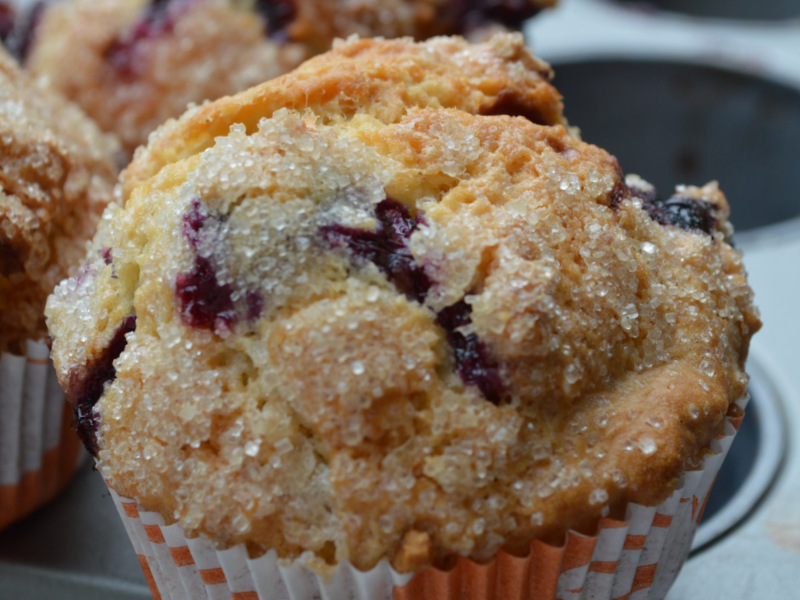Blaubeer Muffins - My Cookery Log : My Cookery Log